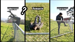 How Different Animals Get Over A Fence COMPILATION [upl. by Proudman]