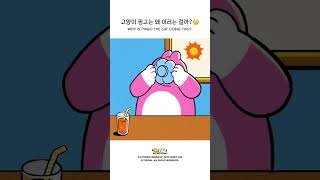 몰라 알 수가 없어 핑고는 엉뚱하고 귀여운 고양이🐱 shorts animation mukbang [upl. by Hembree389]