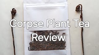 Ghost Pipe Tea Review Halloween Special ghostpipe corpseplant [upl. by Cleland]