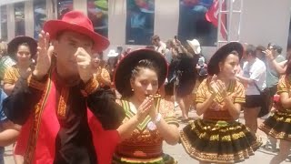 Salay Bolivia Carnaval de Arica 28012024 [upl. by Amol462]