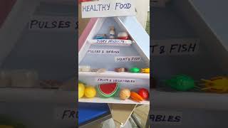 Food Pyramid Project model [upl. by Westfall637]