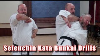 Practical Kata Bunkai Seienchin Seiyunchin Bunkai Drills [upl. by Yellehs]