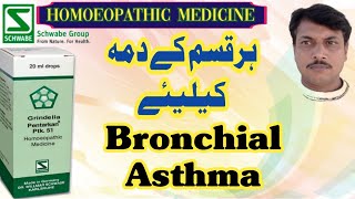 PTK 51 Grindelia Pentarkan  DrWillmar Schwabe Germany  Homoeopathic Medicine  Urdu Hindi [upl. by Madra]