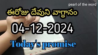 Todays promise  Eroju devuni vaagdaanam  Word of god  04122024 [upl. by Ennovyhs857]