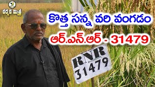 ఈ సన్న రకం వరి దిగుబడి బాగుంది  High Yield New Paddy Variety RNR  31479  Karshaka Mitra [upl. by Elleinahc405]