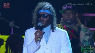 Super Cat Live at Reggae Sumfest 2016 [upl. by Dagley146]