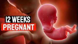 12 Weeks Pregnant Inside The Womb । 12 Week Pregnancy Symptoms । 12th Week Pregnancy [upl. by Fedora]