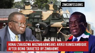 Honai Zvaudzwa MuZimbabweans Ariku KuMozambique After Being Targeted By Protesters [upl. by Ettevy]