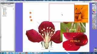 Utilizzo dei layer in Active Inspire tutorial [upl. by Venice956]