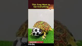 This Frog Want to Eat Everything  These frogs eat everything  Historical Indian Hindi shorts [upl. by Eelyak]