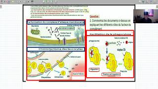 svtlimmunologiele role du facteur complent dans la reponse immunitaire non specifique [upl. by Kovacev651]