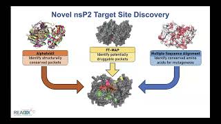 Nat Moormans 20240320 Antiviral Drug Discovery AViDD Open Science Forum Talk [upl. by Taddeusz258]