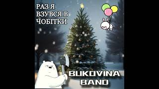 Раз я взувся в чобітки  BUKOVINA BAND [upl. by Hetti]