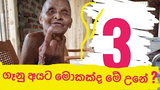 Grandpa Song  Part 3  Sri Lanka Village Life [upl. by Nosneb574]