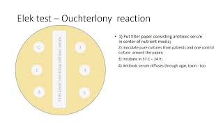 Ouchterlony reaction [upl. by Ajnotal]