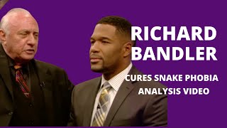 How Richard Bandler ended Michael Strahans Snake Phobia  NLP Coaching Breakdown [upl. by Siravat28]