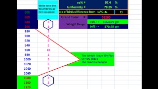 Calculation of body Weight with Microsoft Excell sheet with in seconds [upl. by Anelas679]