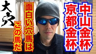 【中山金杯2022 京都金杯2022】面白い穴馬は、この馬だ【競馬予想】 [upl. by Notluf671]