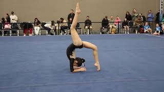 Kiala Nishime Floor 2024 Calif Grand Invite Wildfire Gymnast Level 6 [upl. by Ajnin838]