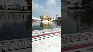 Golden Temple 🙌😍 shorts goldentemple ytshorts [upl. by Shiff]