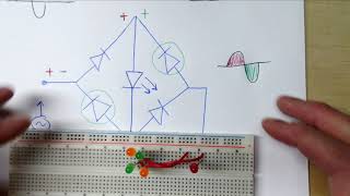 Bridge Rectifier explained using LEDs [upl. by Clair63]