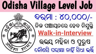 Odisha Village Level Job Recruitment 2024  Salary  40000 Per Month  Odisha Govt Job [upl. by Hassin637]