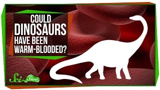 Could Dinosaurs Have Been WarmBlooded [upl. by Yrrep]