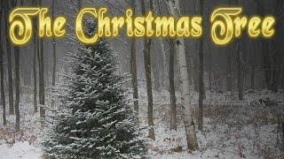 quotThe Christmas Treequot by Mike Whitehouse [upl. by Onitselec]