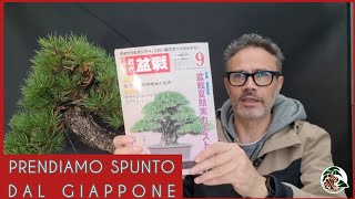 Creare ispirandosi al bonsai del Giappone M° Takashi Iura [upl. by Assilat102]