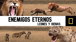 EL MEJOR DOCUMENTAL de la NAT GEO  NTWADUMELA  EL ASESINO DE HIENAS [upl. by Etnod253]