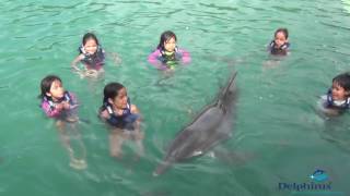 Nadando con delfines en Cancún [upl. by Anial]