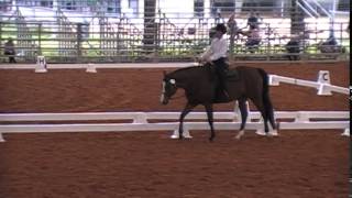 Western Dressage Basic Level Test 1 [upl. by Ynad]