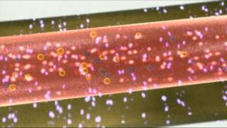 Faszination Laser Teil 2  Wie funktioniert ein Laser [upl. by Darmit]