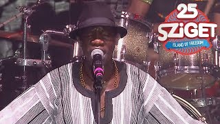 Mokoomba LIVE  Sziget 2017 Full Concert [upl. by Singh438]