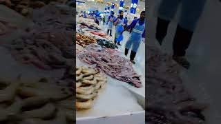 3 November 2024 waterfront fish market in dubaiiiiiiiiimust watch [upl. by Iroc]