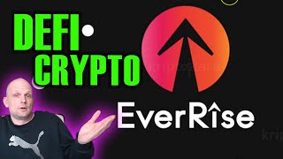 EVERRISE RISE CRYPTO DEFI PROJECT REVIEW [upl. by Solorac998]