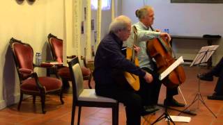 Radamés Gnattali  Sonata for Guitar and Cello Paulo Pedrassoliguitar amp Jed Barahalcello [upl. by Leake99]