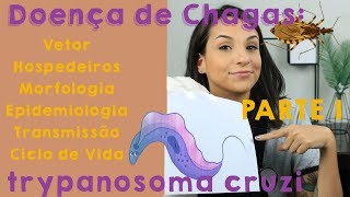 Doença de Chagas Trypanosoma cruzi  DICAS PARA SUA PROVA PRÁTICA  Parte I  PARASITOLOGIA 2 [upl. by Ttehc]