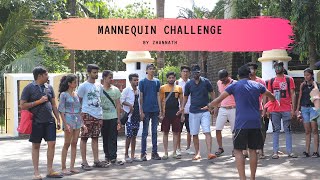 Mannequin Challenge By  Zhannath  Goa [upl. by Naerol]