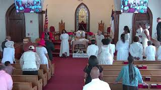 Morning Star Missionary Baptist Church Albany NY Live Stream [upl. by Amaj222]