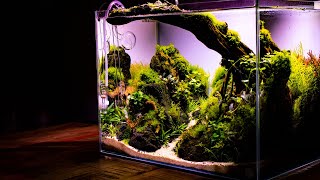 HOW TO Make an Aquascape Nano Aquascape Tutorial  Step by Step GUIDE Building a CONTEST Aquascape [upl. by Fausta465]