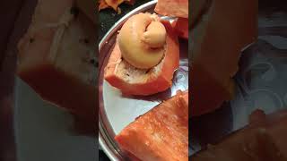 Inside Papaya two little 🤏 Papayas 🤔 papaya papayashake papayacutting fruit shorts shortvideo [upl. by Maridel]