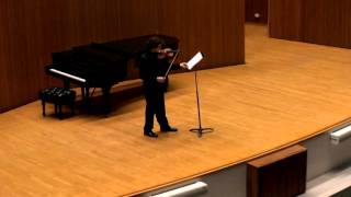 2016 Aspen Violin Fellowship Audition [upl. by Iilek]