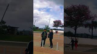 Conhecendo o Acampamento Farroupilha 2024 em Porto Alegre portoalegre vlog [upl. by Akiemaj476]