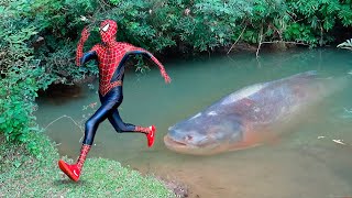 Homem Aranha e o Monstro Peixe Aranha Histórias de SUPER HERÓIS [upl. by Arri]