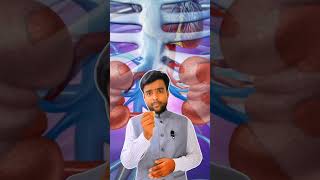 Dialysis Procedure Video shorts dialysis viral shortsfeed [upl. by Kynthia]