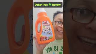 Dollar Tree 🌳 Laundry Detergent Review [upl. by Godwin]