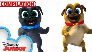 Every Happy Booty Dance Music Video  Puppy Dog Pals  Compilation  disneyjr [upl. by Duston]