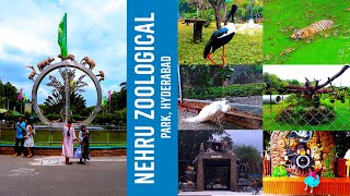 Nehru Zoological Park Hyderabad  Hyderabad Zoo  Exploring Wildlife Wonders in Indias Premier Zoo [upl. by Sholom]