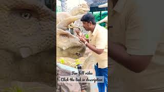 Jurassic park in Mahabalipuram ECR chennai tamil [upl. by Rebm406]